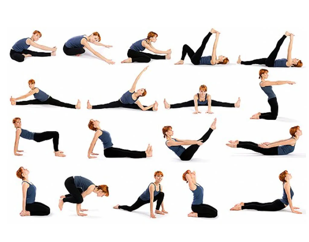 aasana Asana Yoga Sydney