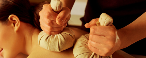 Swedana Swedana Steam Bath