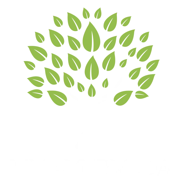 Liv Ayurveda Logo