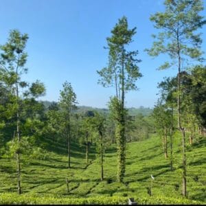 Retreat-gallery-image